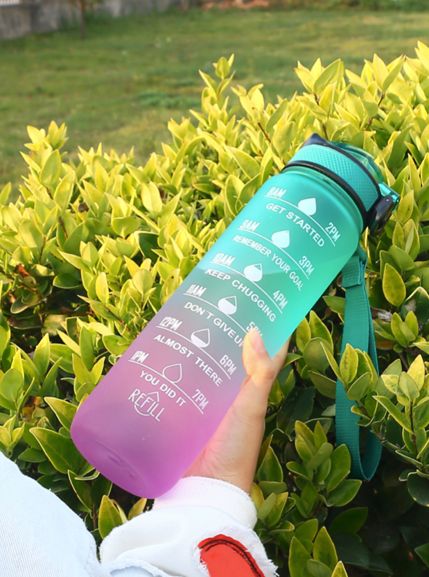 Ombre Water Bottle Blue Pink Tumbler