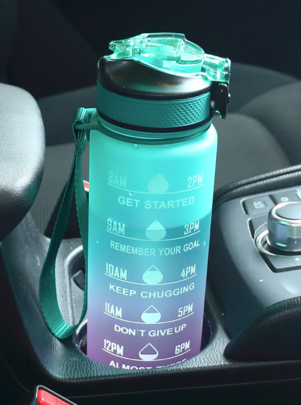 Ombre Water Bottle Blue Pink Tumbler