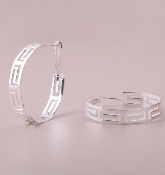 Stainless Steel  Hoop Earrings