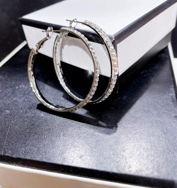 Cubic Zirconia Silver Stainless Steel Hoop Earrings