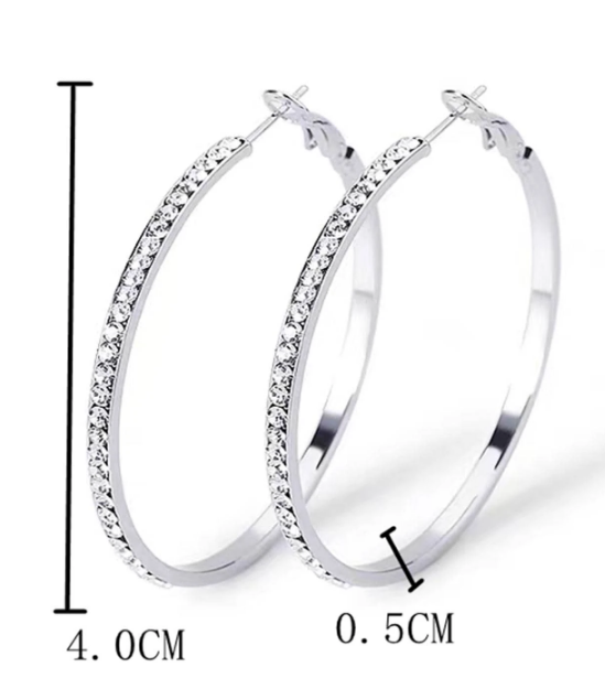 Cubic Zirconia Silver Stainless Steel Hoop Earrings