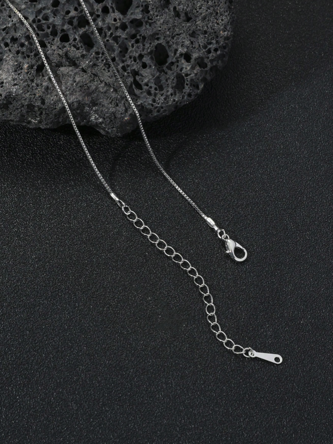 Box Chain Stainless Steel 20.5 inch Necklace