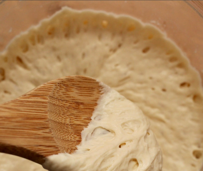 Doughlores Sourdough Starter Dehydrated ( White )