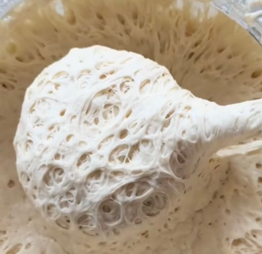 Doughlores Sourdough Starter Dehydrated ( White )