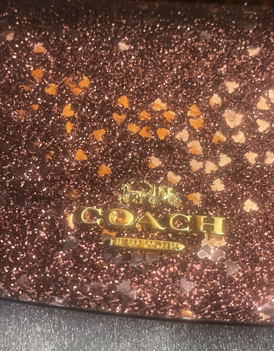 COACH Heart Glitter Envelope Wallet ( Authentic ) F39130
