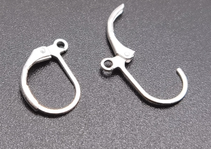 Lever Back Earring Service   (  One Pair   )  Choose Color