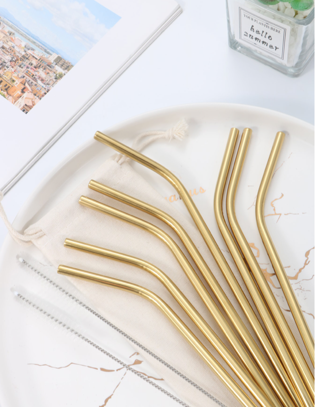 Stainless Steel Straws and Brush Set for Tumblers ( choose color )