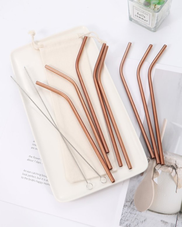 Stainless Steel Straws and Brush Set for Tumblers ( choose color )
