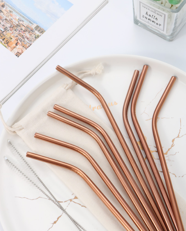 Stainless Steel Straws and Brush Set for Tumblers ( choose color )