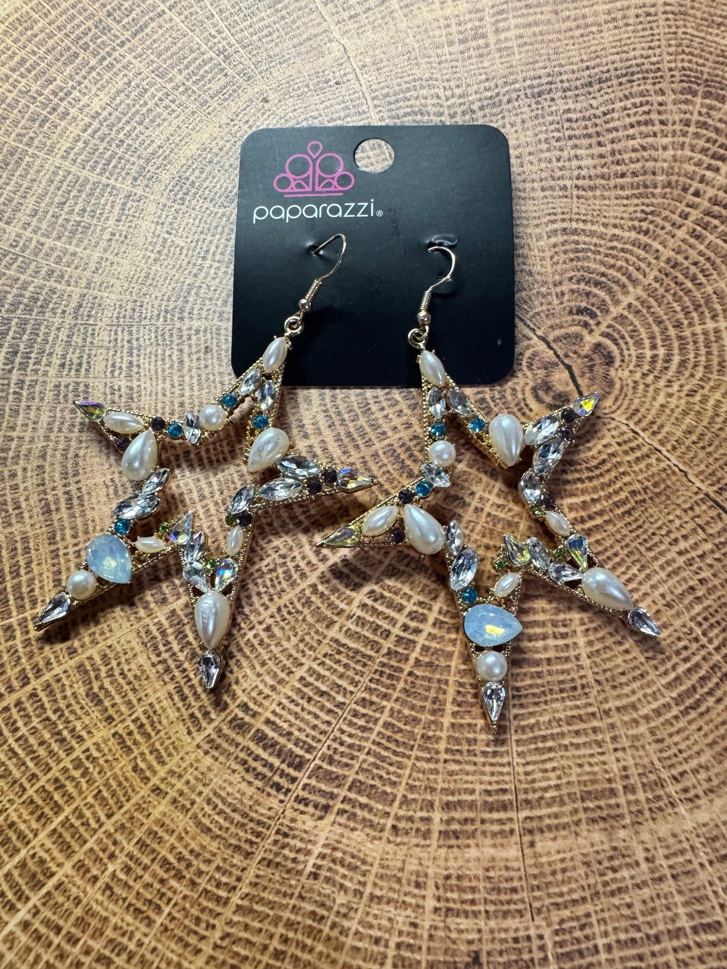 Paparazzi Variegated Value Multi Earrings