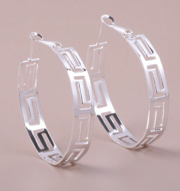 Stainless Steel  Hoop Earrings