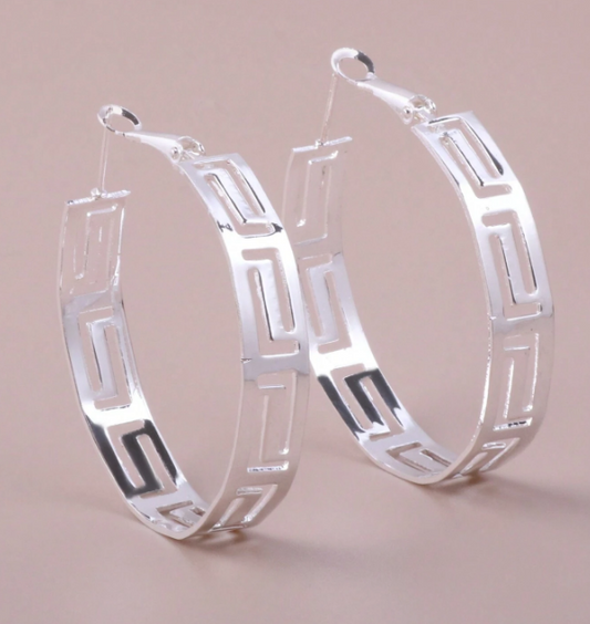 Stainless Steel  Hoop Earrings