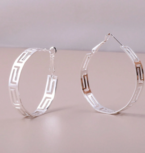 Stainless Steel  Hoop Earrings