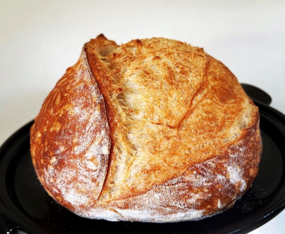 Whole Wheat Sourdough Starter Dehydrated ( Clint Wheatwood )