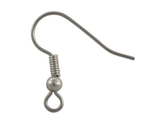 Stainless Steel Fish hook Earring replacement Service    (   One Pair    )  choose color