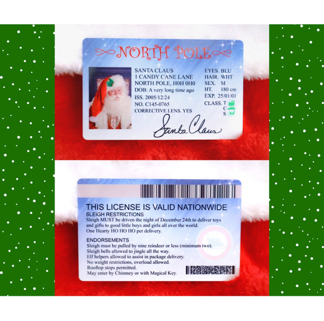 Lost Santa Claus Drivers Flight License    🔥 HOT Seller 🔥   SALE   🔥